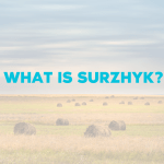 What is Surzhyk